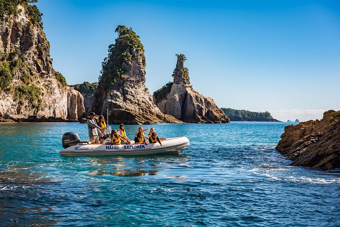 One Hour Cathedral Cove Boat Tour in Hahei - Accessibility Options