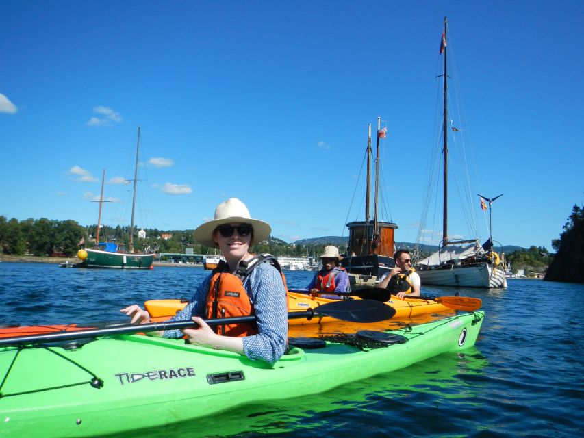 Oslo: 3-hour Kayaking Trip on the Oslofjord - Essential Inclusions