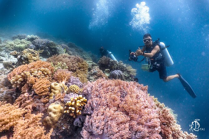 PADI Advanced Open Water Course Kota Kinabalu - Reviews and Ratings
