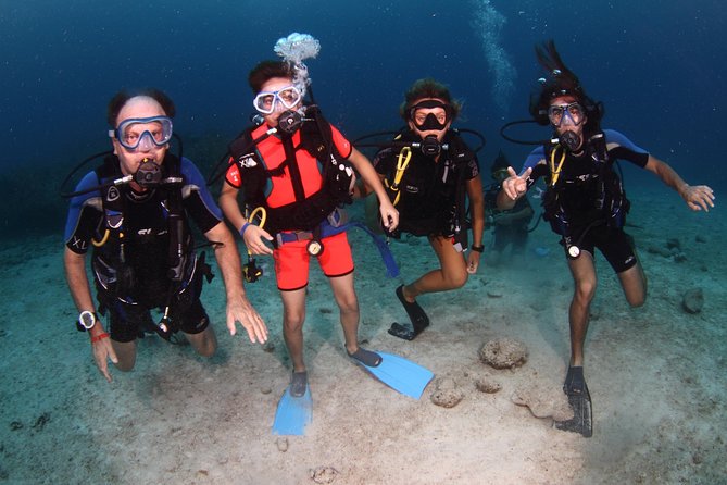 PADI Discover Scuba Diving and Day Pass in Freeport - Tips for a Great Experience