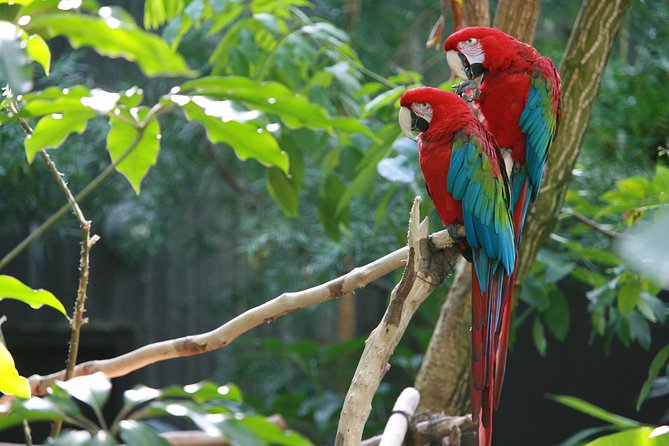 Palo Verde Boat Tour - Customer Reviews