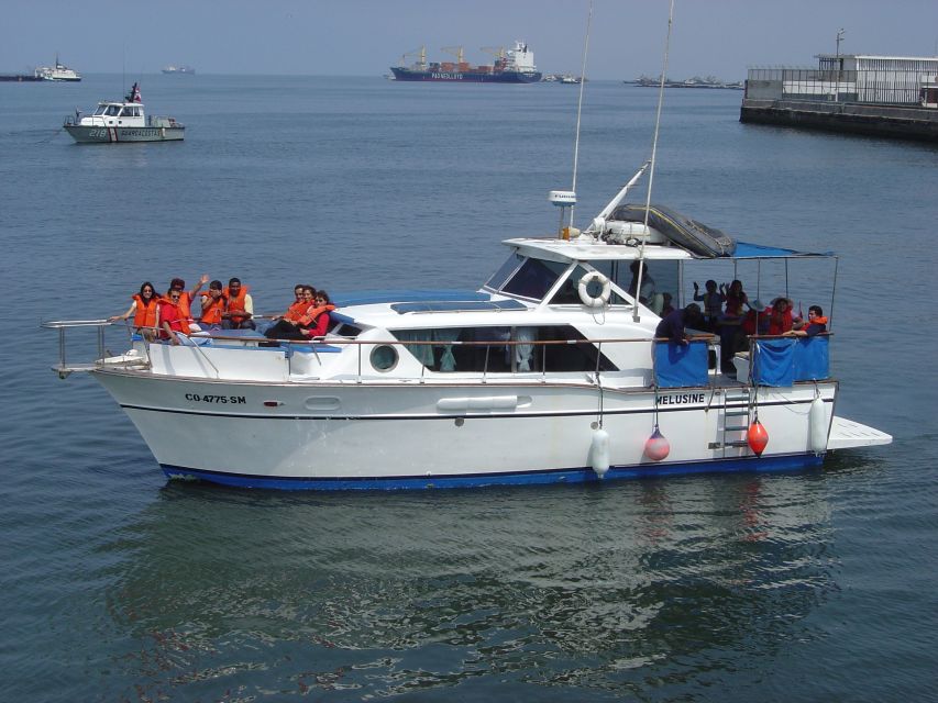 Palomino Islands: Swim With Sea Lions in the Pacific Ocean - Essential Information for Travelers