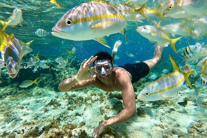 Paradise Island Puerto Plata - Tips for a Great Experience