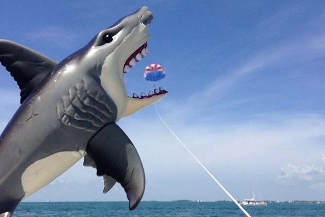 Parasailing Over the Historic Key West Seaport - Safety Measures and Comfort