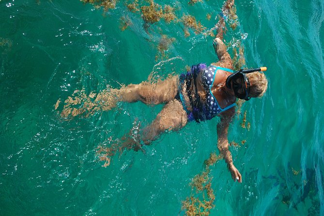 Party in Catamaran in Punta Cana Open Bar - Requirements for Participants