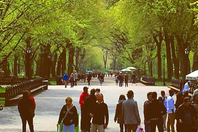 Pedicab Guided Tour of Central Park - Pricing and Group Size