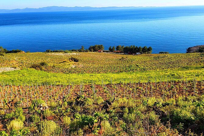 Peljesac and Ston Private Wine Tour With Tastings From Dubrovnik - Scenic Locations and Stops