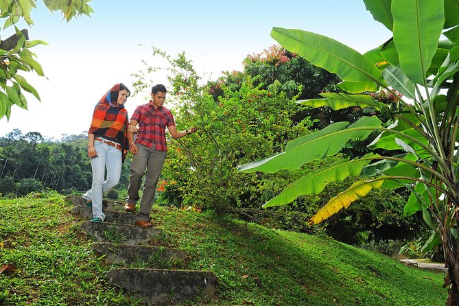 Penang Tropical Fruit Farm With Fruit Tasting - Seasonal Fruit Availability