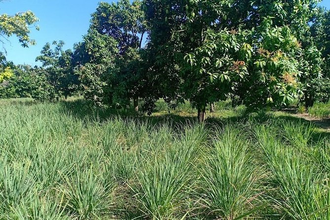 Phnom Penh Countryside Cycle Tour - Meeting and Pickup Details