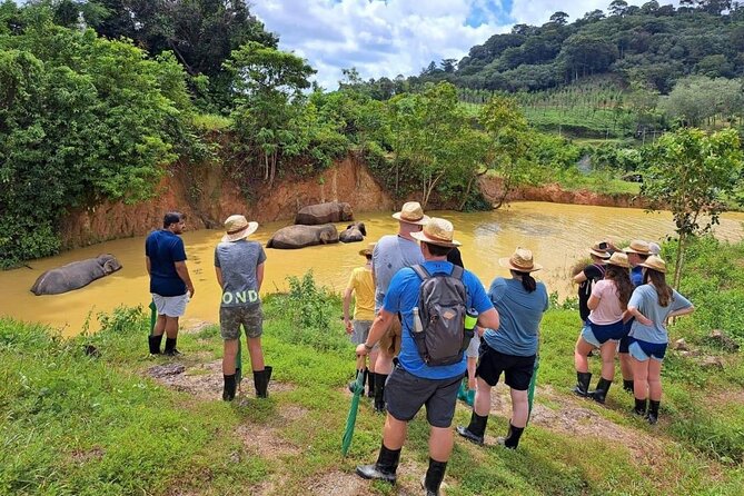 Phuket Best: City Tour & Elephant Park Experience - Cultural Insights and Temples