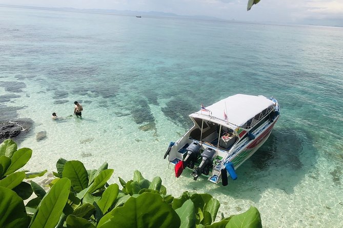 Phuket to Phi Phi Islands by Express Ferry Including Lunch - Important Notes for Travelers