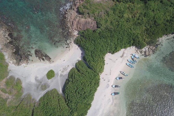 Pigeon Island Snorkeling Trip - Traveler Experiences
