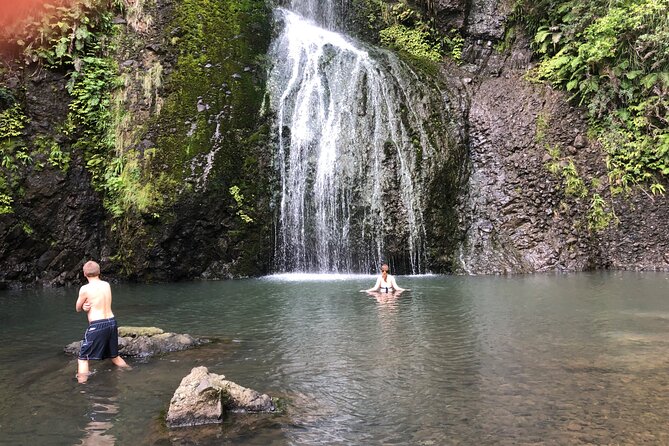 Piha Beach - Whats Included in the Tour