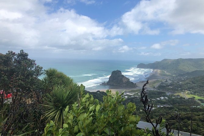 Piha Waitakere Rainforest Wine Tour From Auckland - Traveler Reviews and Feedback