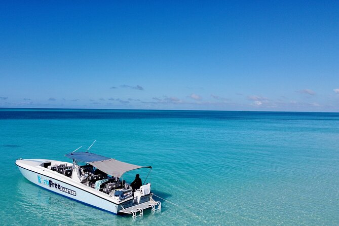 Pink Sand Beach and Swimming Pigs Adventure From Nassau - Customer Experiences and Highlights