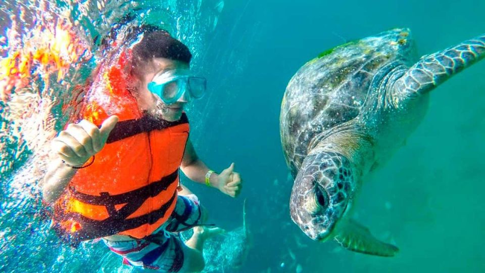 Piura: Adventure in Mancora With Underwater Turtle Encounter - Restrictions and Limitations