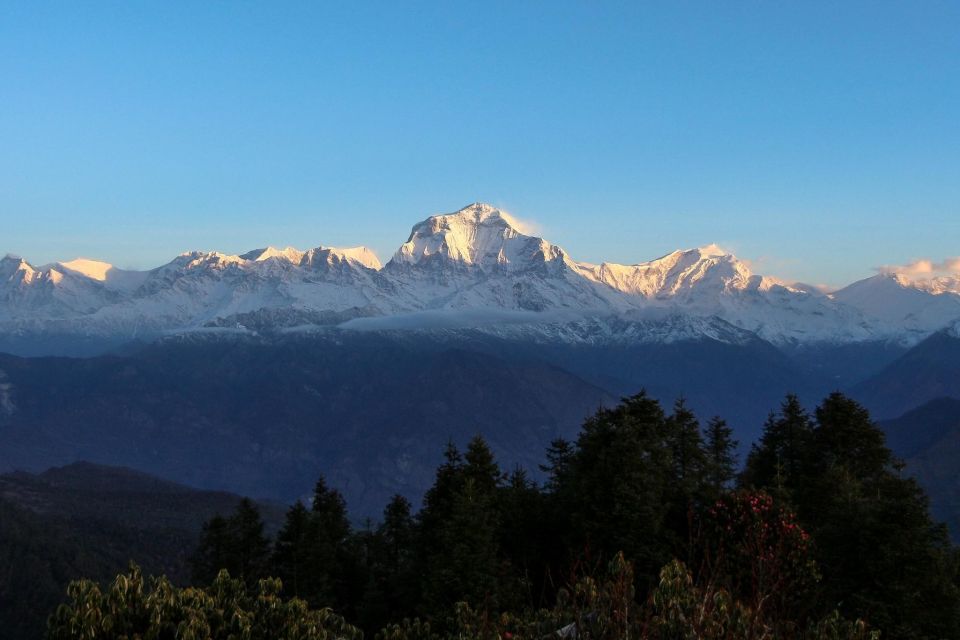 Pokhara: 3 Day Mulde View Point Trek - Booking Information