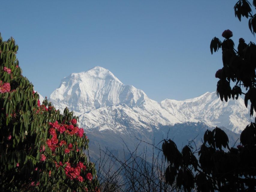 Pokhara: 4-Day Trek to Ghorepani Poon Hill and Ghandruk - Cultural Experiences