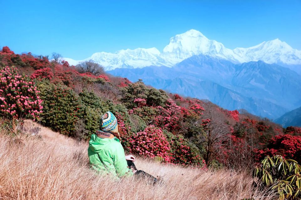 Pokhara: 5-Day Ghorepani and Poon Hill Private Trek - Trek Highlights