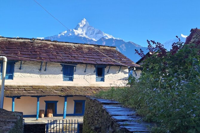 Pokhara: Easy Day Hike to Australian Camp & Dhampus Village - Hiking Route Highlights