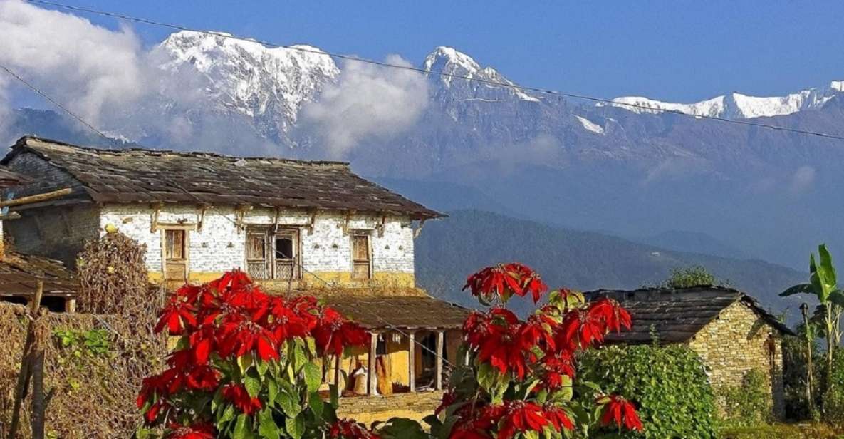Pokhara: Guided Day Hike From Dampus To Australian Base Camp - Cultural Experiences