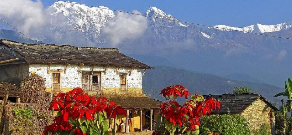 Pokhara: Guided Tour to Visit 5 Himalayas View Point - Key Viewpoints Explained