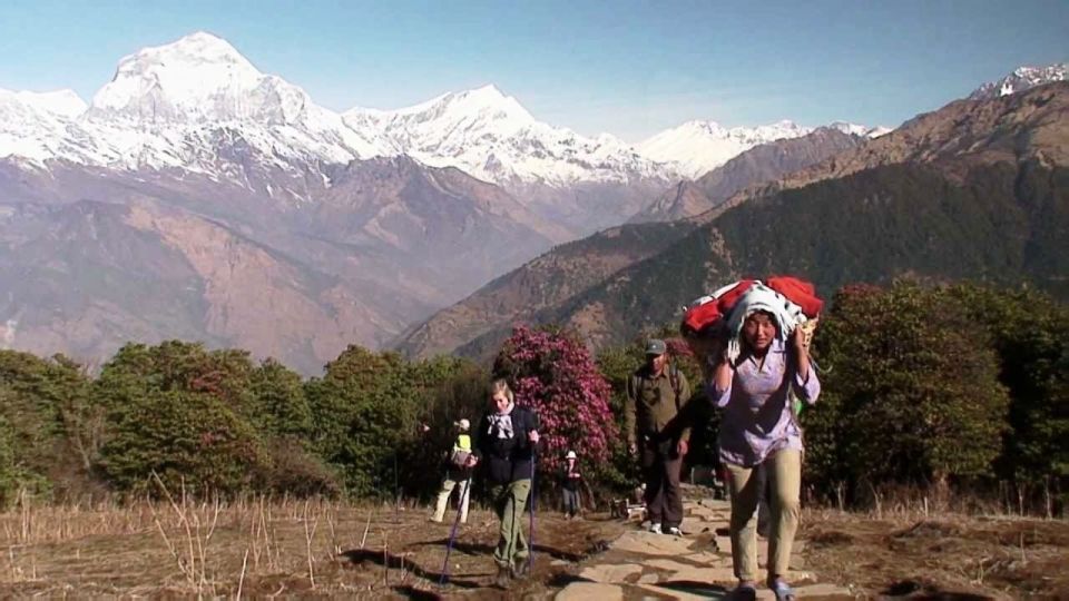 Pokhara: Private Pool Hill Trek With Accommodation and Meals - Inclusions and Exclusions