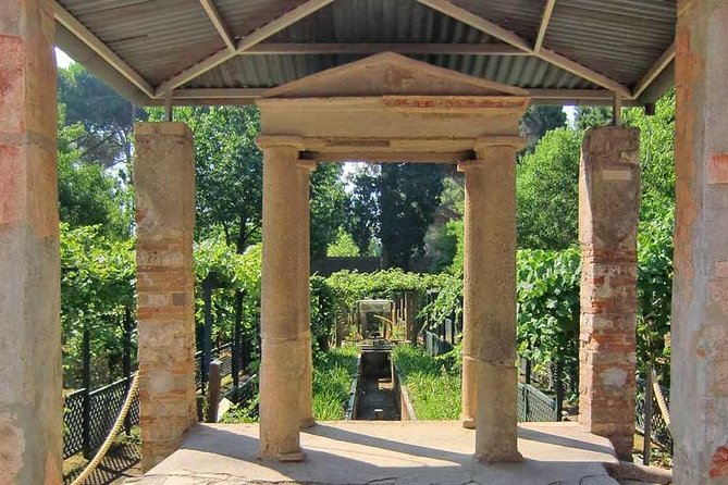 Pompeii Full-Day Tour Including All Highlights and Newly Opened Houses - Included Services and Amenities