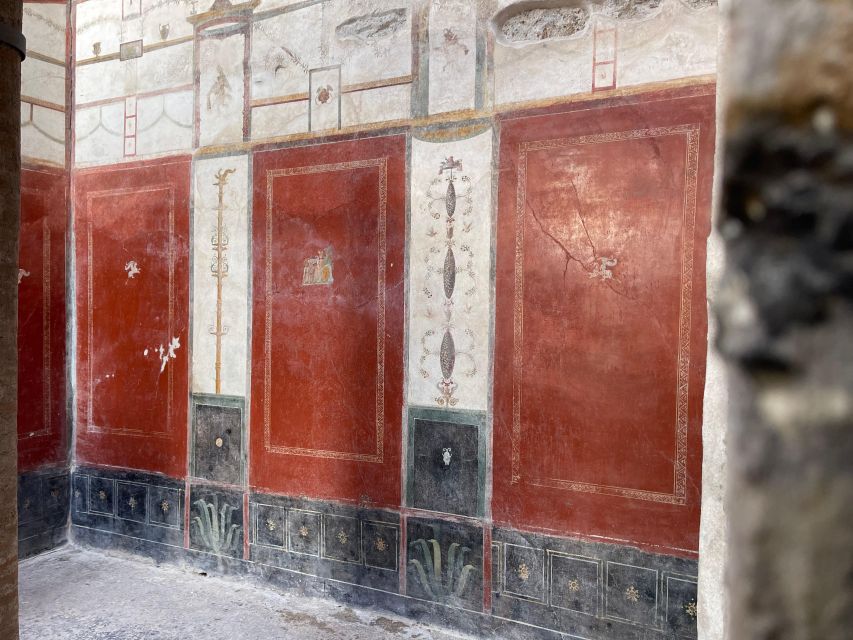 Pompeii Guided Tour Skip the Line - Highlights of the Tour