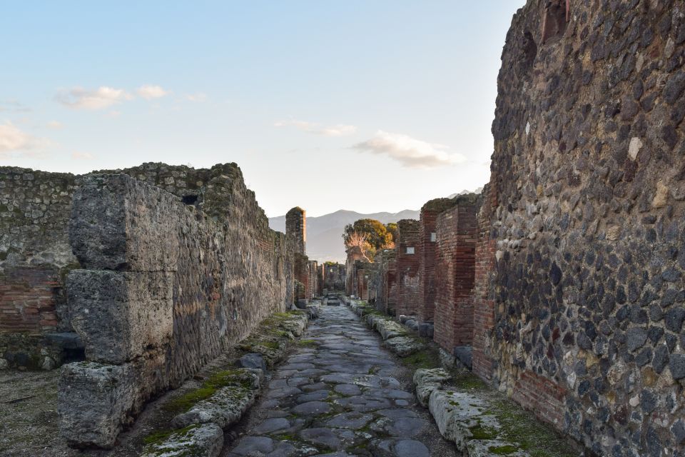 Pompeii: Skip-The-Line Entrance Ticket With Audio Guide - Customer Reviews Overview