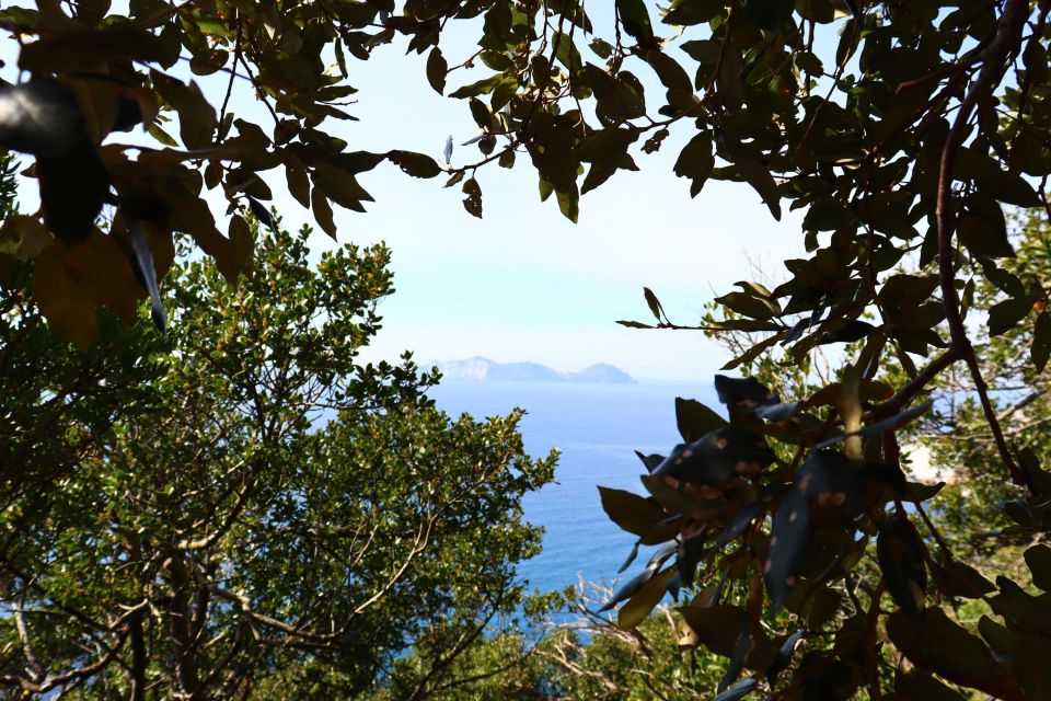 Ponza, Monte Guardia, Guided Nature Walk With a Local Guide - Experience Highlights