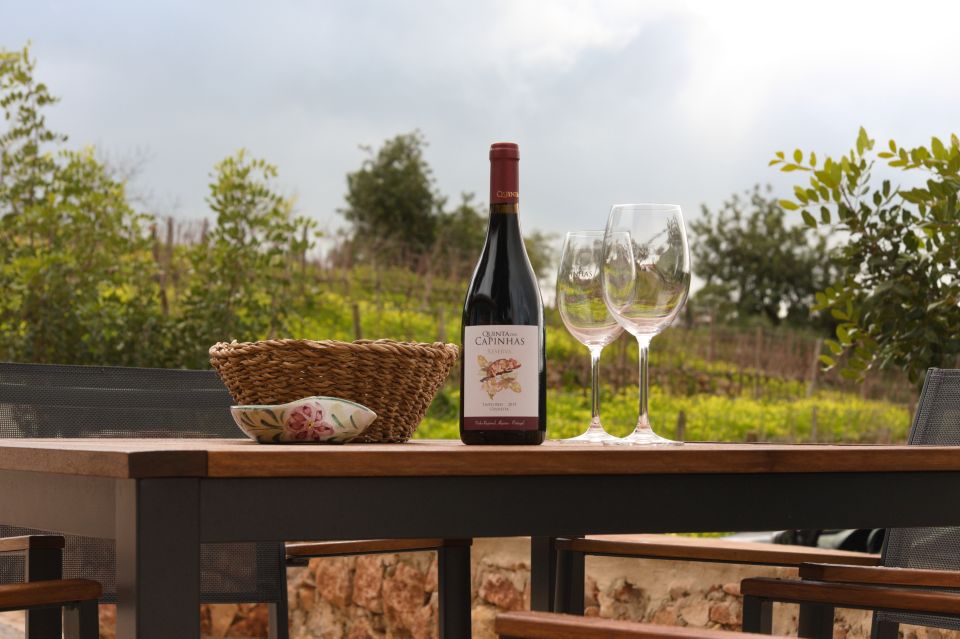 Porches: Algarve Vineyard Tour and Wine Tasting Experience - Sommelier-Led Wine Tasting