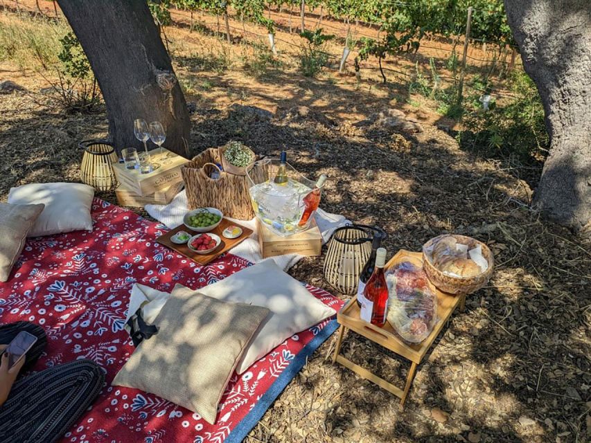 Porches: Vineyard Picnic Experience in the Algarve - Creating Unforgettable Memories