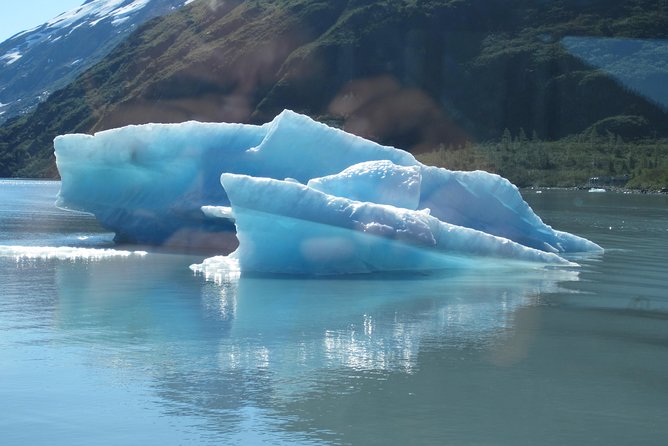 Portage Glacier Cruise and Wildlife Explorer Tour - Alaska Wildlife Conservation Center