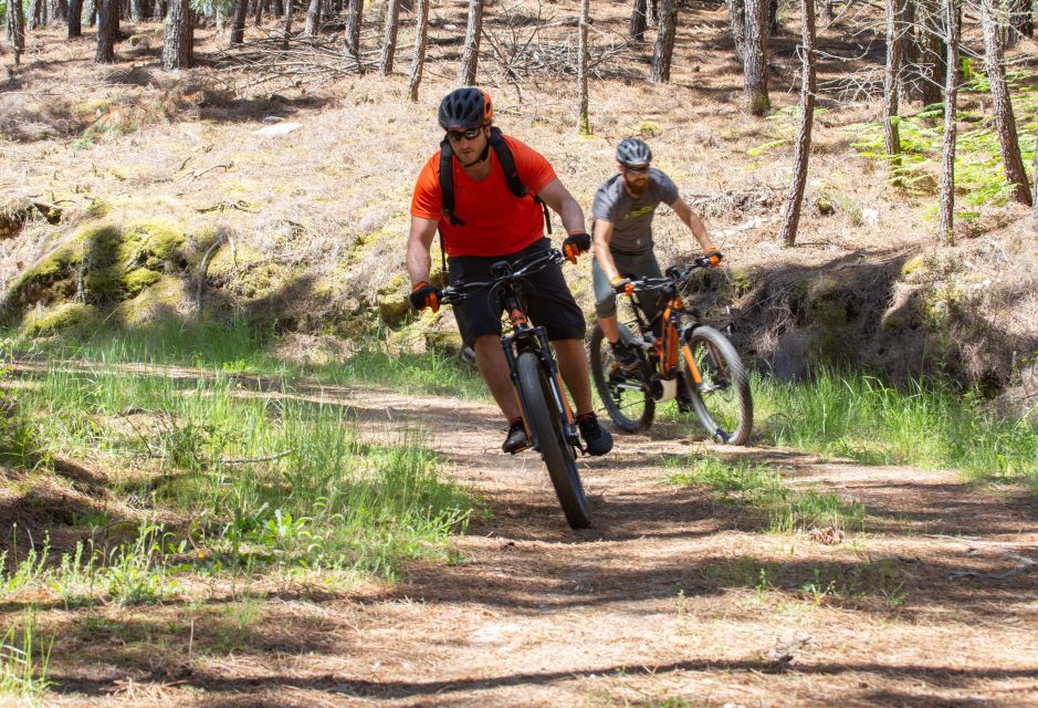 Portugal: Peneda-Gerês National Park by Electric Bike - Accommodation and Support Services