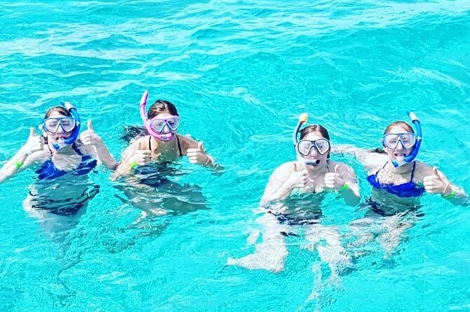 Powerboat and Snorkel Experience With Swimming Pigs and Turtles - Customer Reviews Highlights