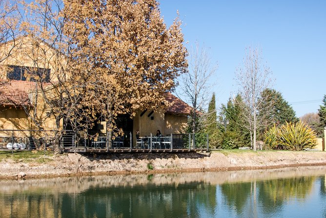 Premium Luján De Cuyo Wine-Tasting Tour in a Small Group - Customer Reviews