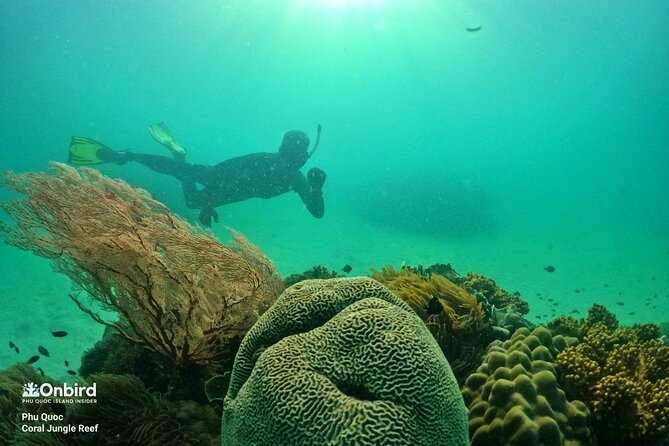 PREMIUM SNORKELING to Explore the Coral Jungle (MAX 8-9 PAX) - Restrictions and Limitations