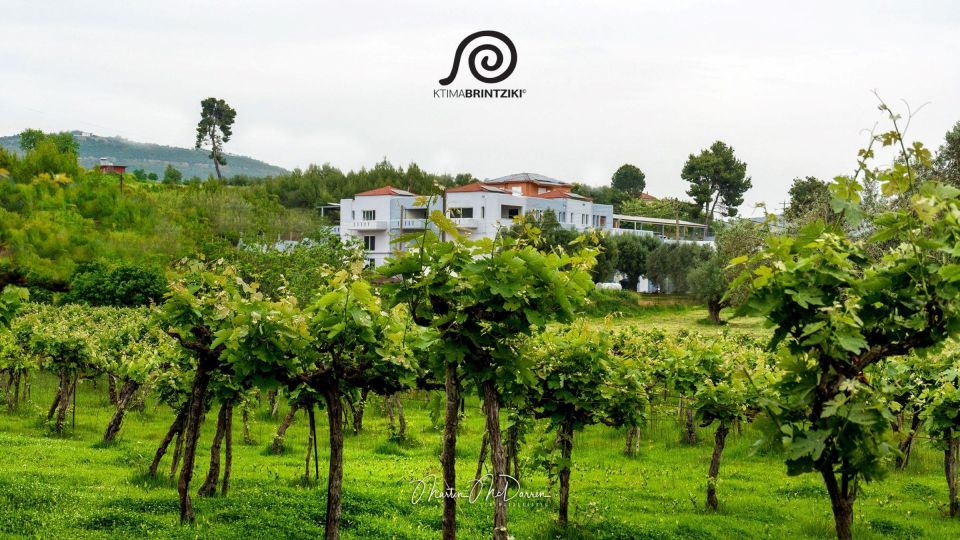 Premium Tour of Olympia: History and Wine Tasting Experience - Wine Tasting Experience
