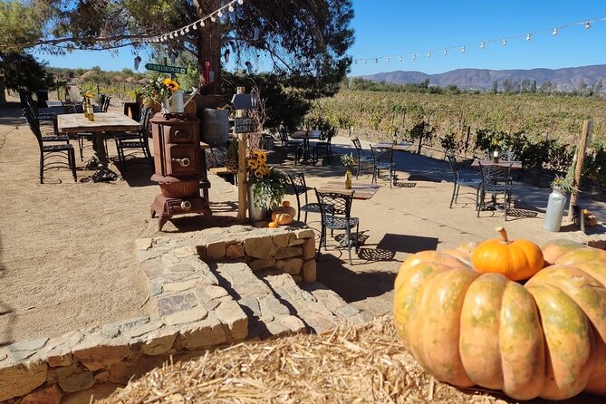 Premium Valle De Guadalupe Wine and Food Tour - Accessibility Information