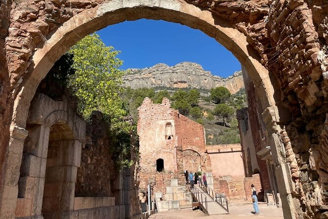 Priorat: 3 Wineries, Olive Oil and Lunch With Hotel Pick-Up - Culinary Delights at Lunch
