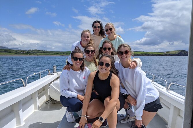 Private 1-Hour Guided Boat Tour in Dingle Peninsula - Comfortable Onboard Amenities