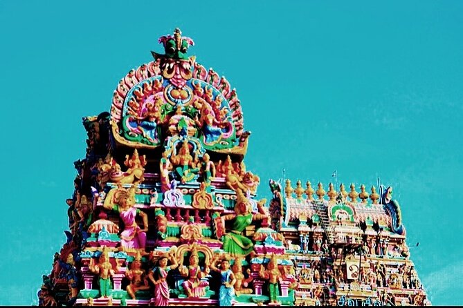 Private 6 Days Exotic Tamilnadu Tour From Chennai - Accessibility Features