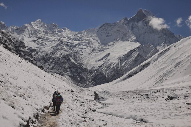 Private 7 - Day Annapurna Base Camp Trekking - Confirmation and Accessibility Information