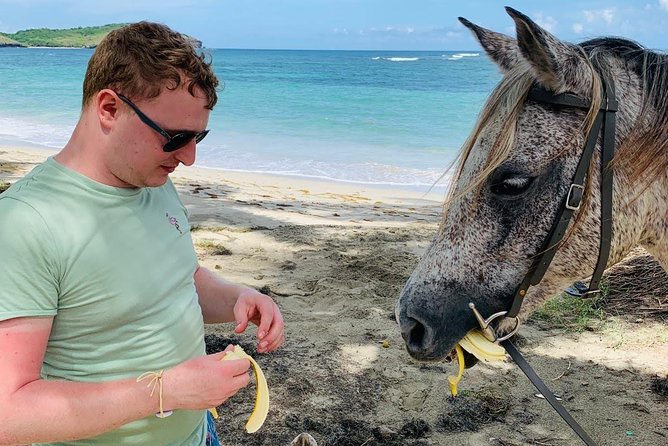 Private Advanced Horseback Beach Ride With Sandy Hoofs St. Lucia - Riding Requirements