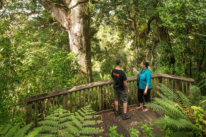 Private Auckland West Coast Day Tour - Customer Reviews and Ratings