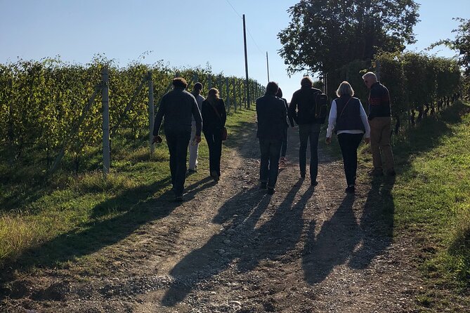 Private Barolo / Barbaresco - Piedmont Wine Tours and Tastings - Guest Reviews