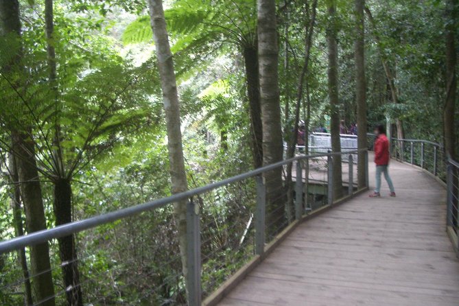 PRIVATE Blue Mountains 1 Day Tour With Wildlife Park & River Cruise - Key Attractions in Blue Mountains