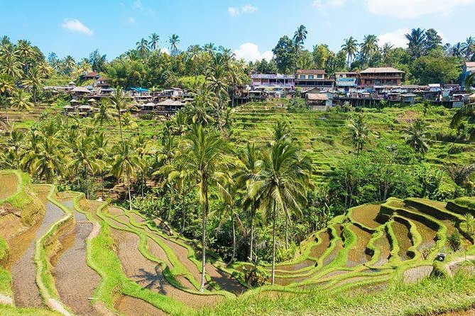 Private Car Charter - Explore Best of Bali - Pricing and Availability