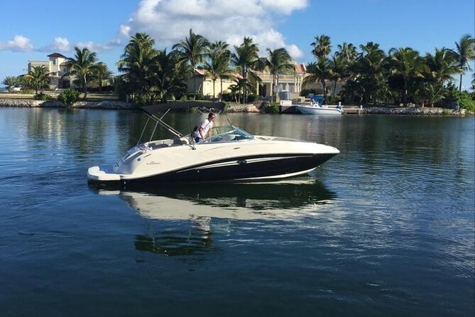 Private Charter - Stingray City, Starfish Point & Snorkeling - What to Expect on Tour